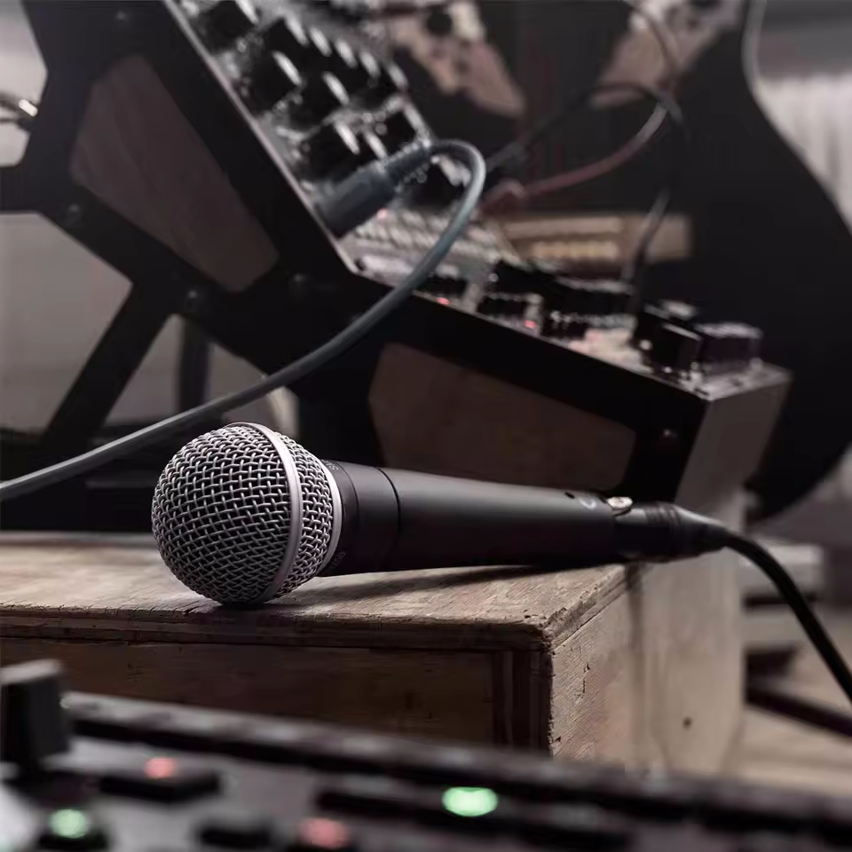 Micrófono dinámico de Karaoke, - Shure Mic Sm58 reseña y precio